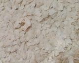 A picture of step 4 of Poha.
