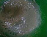 Foto del paso 2 de la receta: Masitas de limón y miel