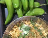 ભરેલા મરચા નો સંભારો (Bharela Marcha Sambharo Recipe In Gujarati) રેસીપી સ્ટેપ1ફોટો
