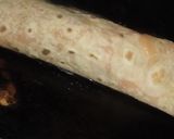 A picture of step 7 of Frankie.