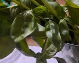 Foto del paso 5 de la receta: Pesto de albahaca en mortero y procesadora