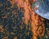 Foto langkah ke 2 dari resep Rendang.