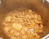 Csirkepaprikás nokedlivel recept fázis 4 fotója