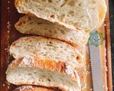 Basic Sourdough Bread recipe step 9 photo