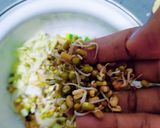 મકાઈ ખીચીયા સ્પાઉટેડ સલાડ(Corn Papad Sprouts Salad Recipe In Gujarati) રેસીપી સ્ટેપ2ફોટો