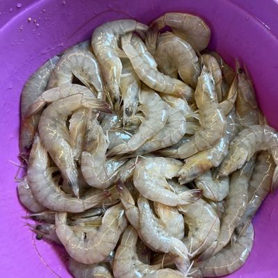 Langkah 1