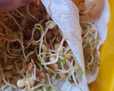 Foto del paso 9 de la receta: Brotes de lentejas al limón 🌱🍋 Germinado de lentejas alimonadas 🌱 🍋