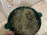 Miến Xào Cà Rốt Su Hào