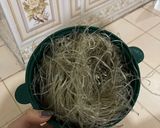 Hình bước làm 1 của món Miến Xào Cà Rốt Su Hào