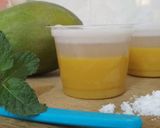 Foto langkah ke 7 dari resep Puding Mangga.