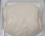 Foto langkah ke 9 dari resep Basic Sourdough Bread 90%.