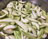青芒果之二 (梅子情人果)的食譜步驟1照片