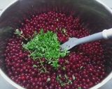 Kakukkfüves ribizlilekvár recept fázis 1 fotója