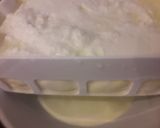 Foto del paso 6 de la receta: Queso untable natural