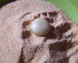 Foto langkah ke 4 dari resep Kue Janda Genit.