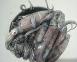 Foto langkah ke 1 dari resep Oseng cumi hitam.