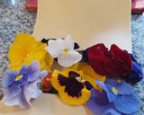 Foto del paso 2 de la receta: Tagliatelle all'uovo con fiori
