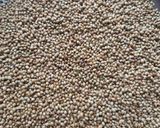A picture of step 2 of Biryani masala.