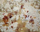 A picture of step 2 of Gram Flour For Fritters.