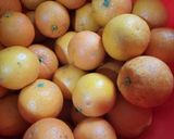 صورة لخطوة 1 من وصفة عصير البرتقال لشهر رمضان كريم 🍊🍊🍊