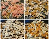 รูปขั้นตอนการทำที่ 1 ของ ก๋วยเตี๋ยวหลอดทรงเครื่อง (สูตรที่ 1)