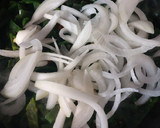 Foto del paso 3 de la receta: Rajas con Crema
