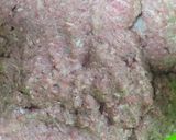 Foto del paso 10 de la receta: Hamburguesa casera (versión 2, gigante)