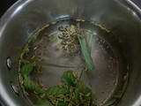 Immunity drink