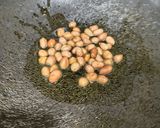 A picture of step 1 of South Indian Sambar Powder Masala Peanut Rice - Tirupati Balaji Temple Prasadam.
