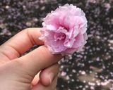 Hình bước làm 2 của món Quẩy nhà làm