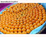 Foto langkah ke 8 dari resep Nastar Klasik.