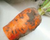 Hình bước làm 1 của món Salad rau củ ức gà