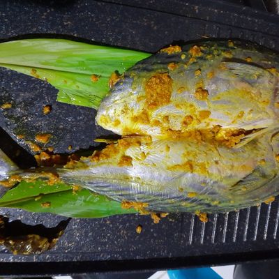 Langkah 5
