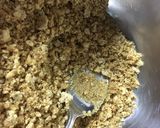 【無糖】藍莓重乳酪蛋糕的食譜步驟3照片