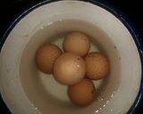 Foto del paso 8 de la receta: Jigote (plato Diaguita)