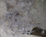 A picture of step 4 of Arrow root chapatis# my creative arrowroot recipe contest #.