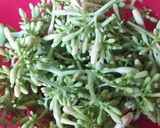 Foto langkah ke 1 dari resep Tumis bunga pepaya (tidak pait).