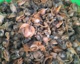 Foto langkah ke 1 dari resep Kering kerang dara.