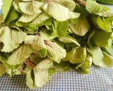Foto langkah ke 1 dari resep Sayur Bangun2....