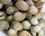 Foto langkah ke 1 dari resep 6. Mercon kerang Dara.
