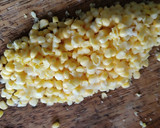 Foto del paso 1 de la receta: Torrejitas de maíz nuevo