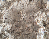 Foto del paso 1 de la receta: Lasaña de carne