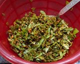 पालक के पराठे (Palak ke parathe Recipe in hindi) रेसिपी चरण 3 फोटो