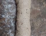Foto del paso 3 de la receta: Pan 100% Integral