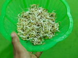 Tumis kangkung tauge pedas manis (cocok untuk diet)