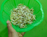 Foto langkah ke 1 dari resep Tumis kangkung tauge pedas manis (cocok untuk diet).