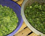 Foto langkah ke 1 dari resep Semanggi & marronggi/morringa/daun kelor sambel sere.