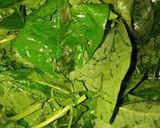 Foto langkah ke 6 dari resep Sayur Bayung Ala-ala.