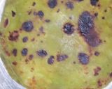 #પાણીપુરી પરાઠા (panipuri paratha recipe in Gujarati) રેસીપી સ્ટેપ6ફોટો