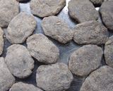 Foto del paso 4 de la receta: Croquetas o bollitos de pescado caballa en lata 🐟